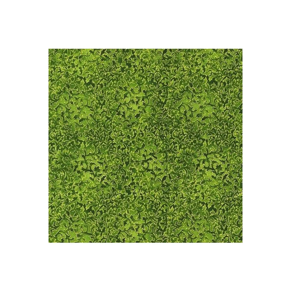 Fusions EVERGREEN