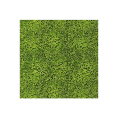 Fusions EVERGREEN