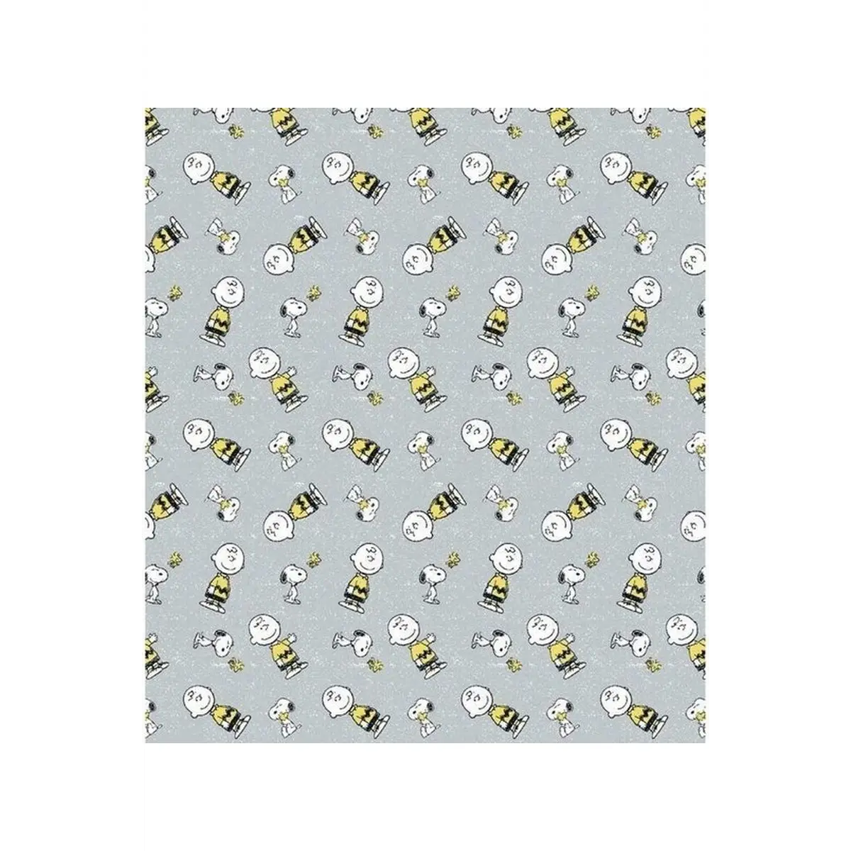 Snoopy and Charlie Brown - 68133