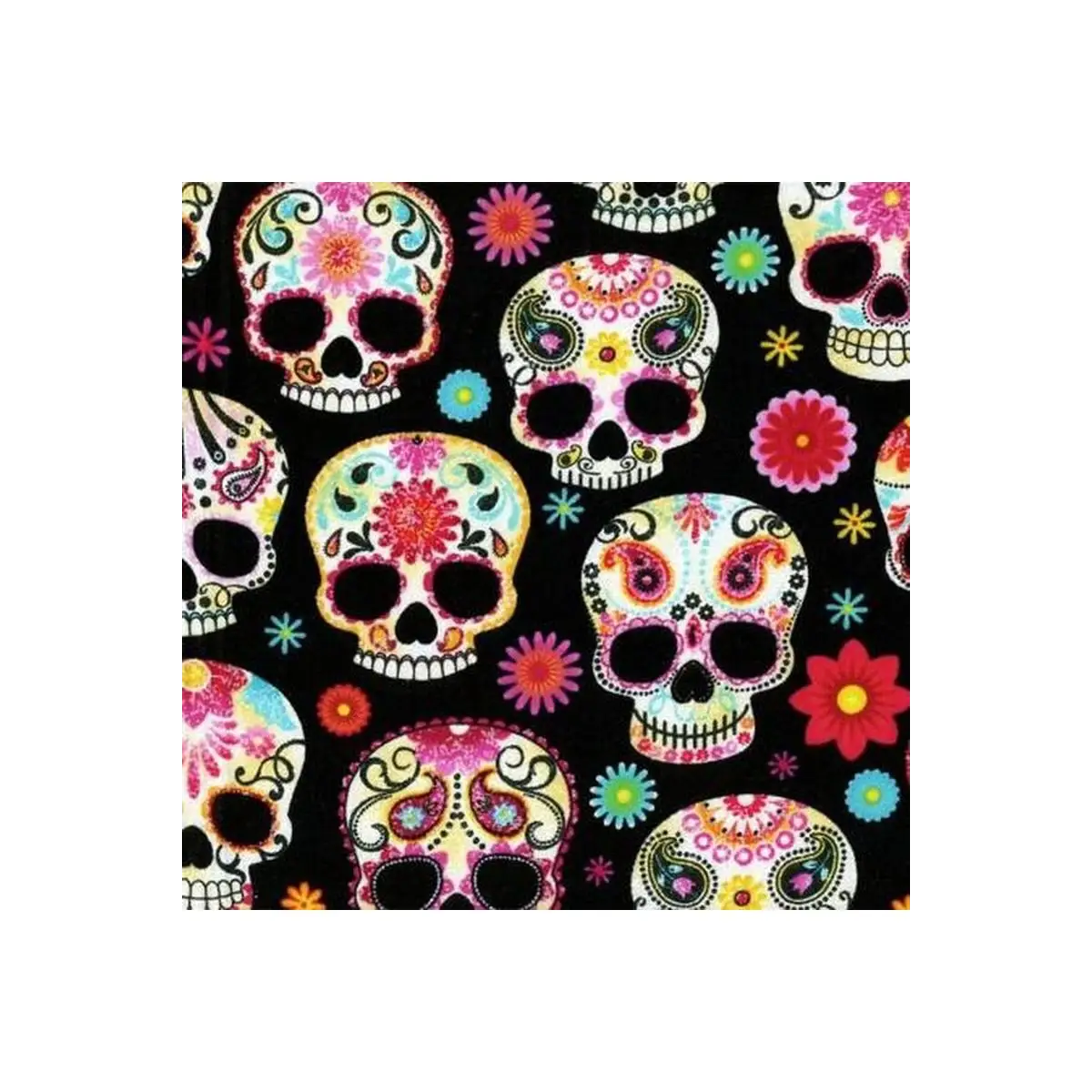 Black Day of the Dead Skulls
