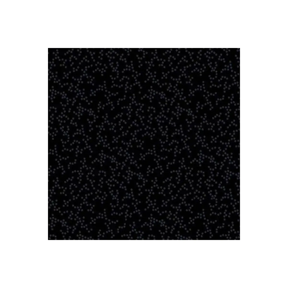Black Dots