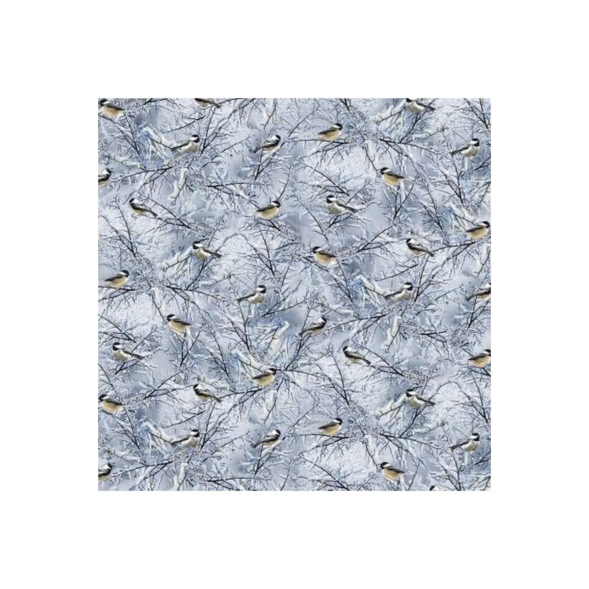 Blue Winter Birds
