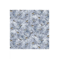 Blue Winter Birds