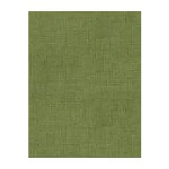 Fabric, Timeless Treasures Fabric, Mix Basic Olive