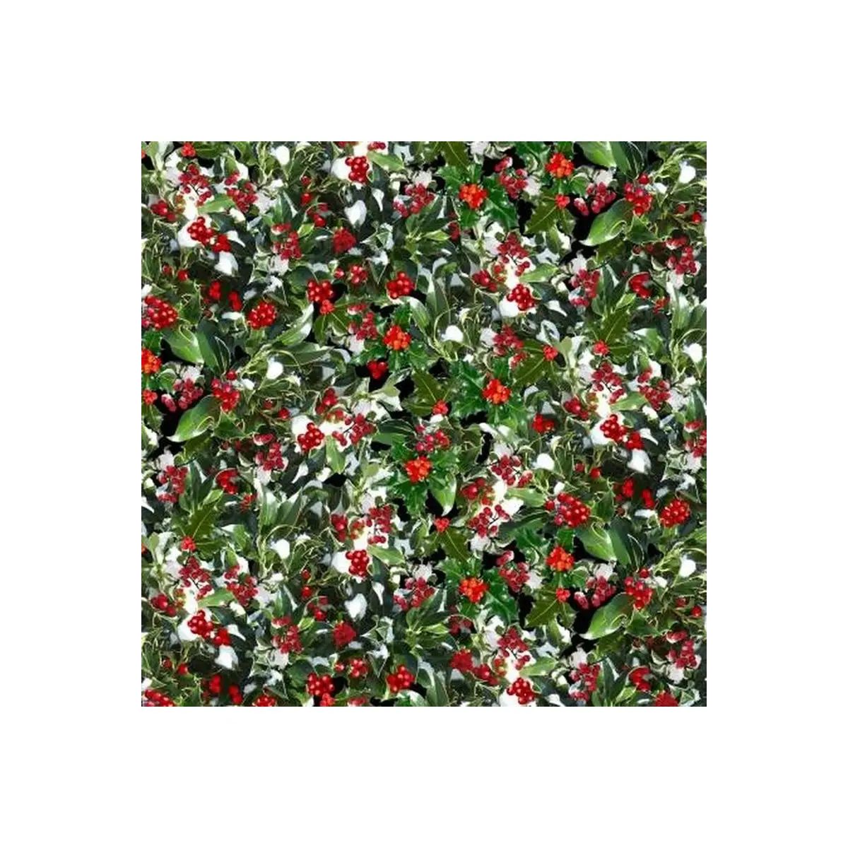 Green Holly & Berries