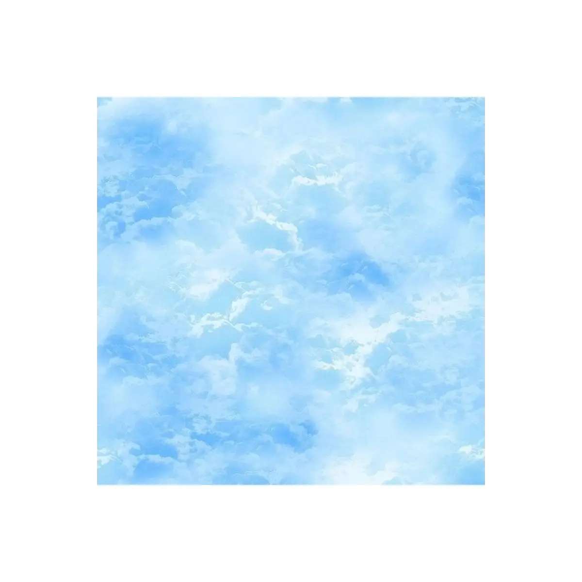 Wildflower Bright Blue Sky - CD2438
