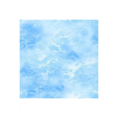 Wildflower Bright Blue Sky - CD2438