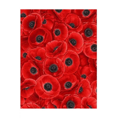 Wildflower Packed Red Poppies - C8474