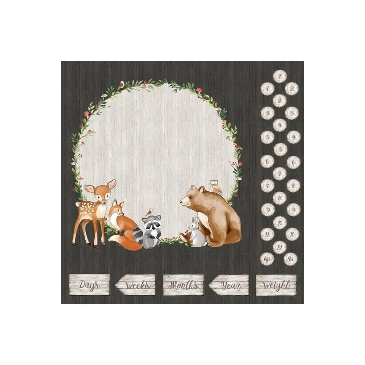 Woodland Adventures Milestone Panel - DP25262-96