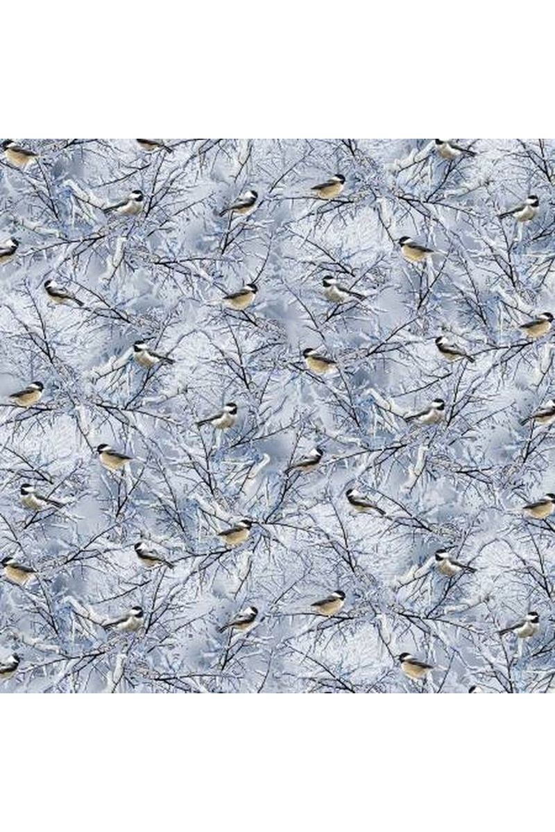 Blue Winter Birds