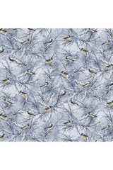 Blue Winter Birds