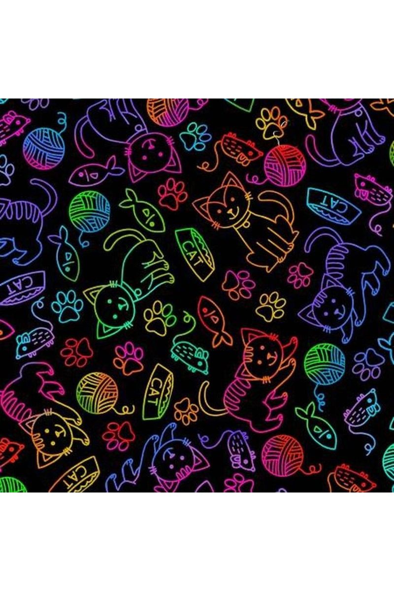 Bright Rainbow Colored Cat