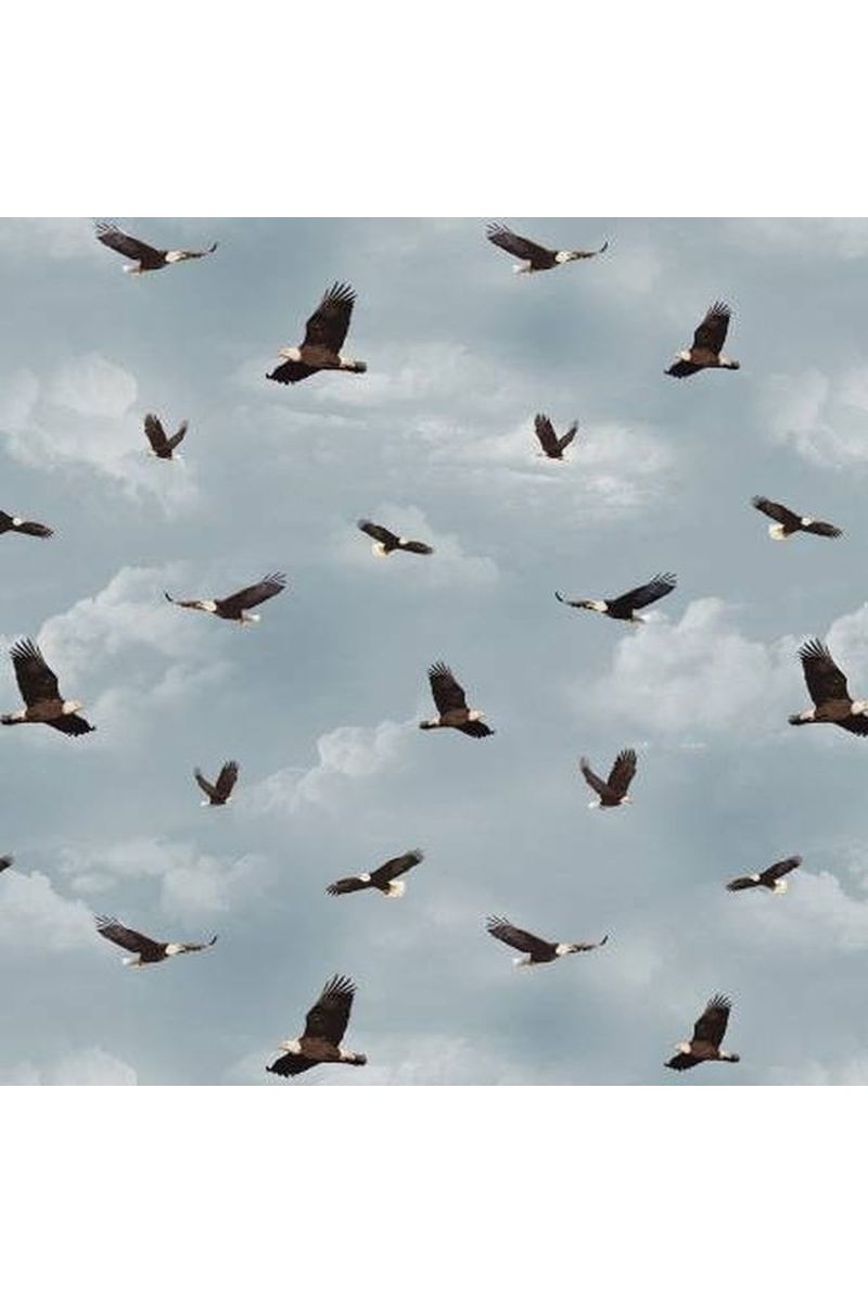 Blue Flying Eagles