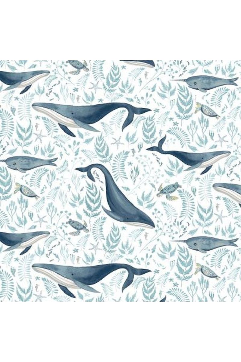 White Whales