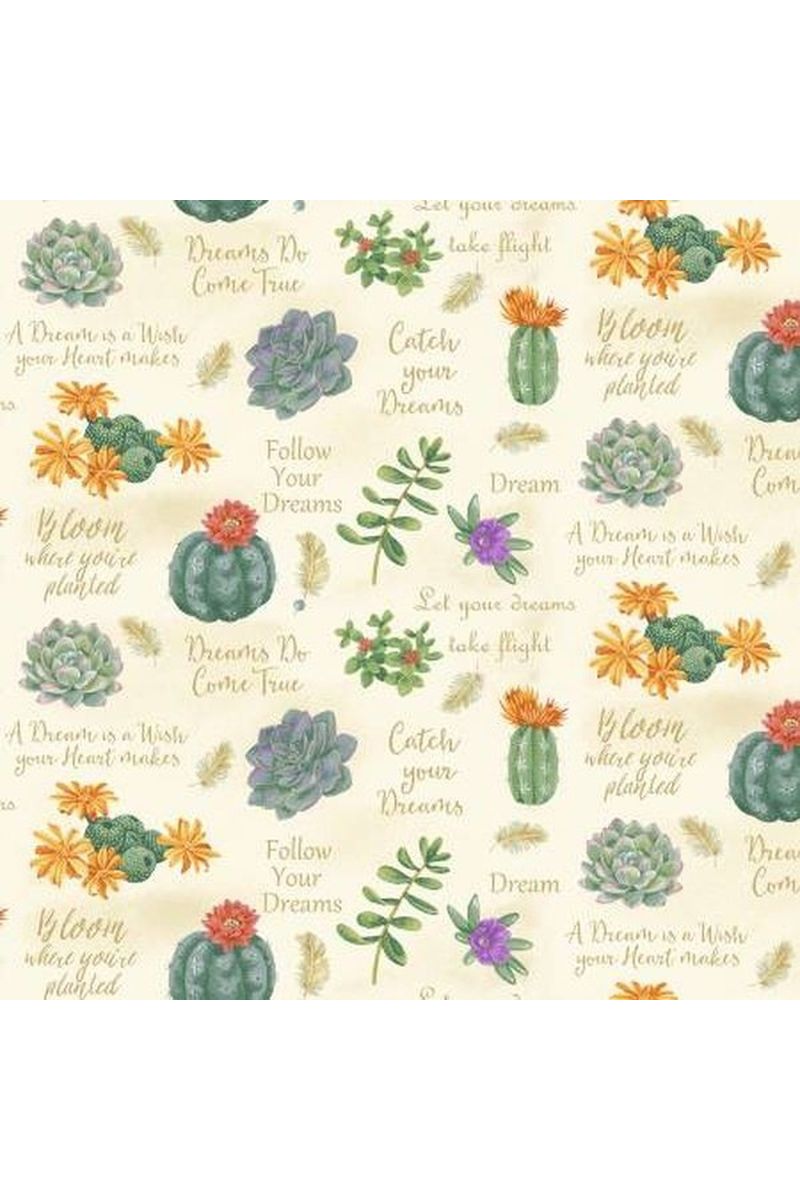 Dream Catchers Succulents and Sayings