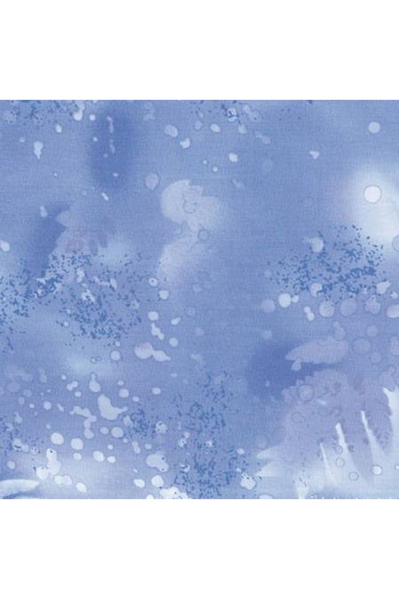Nordid Ice Fossil Fern