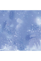 Nordid Ice Fossil Fern