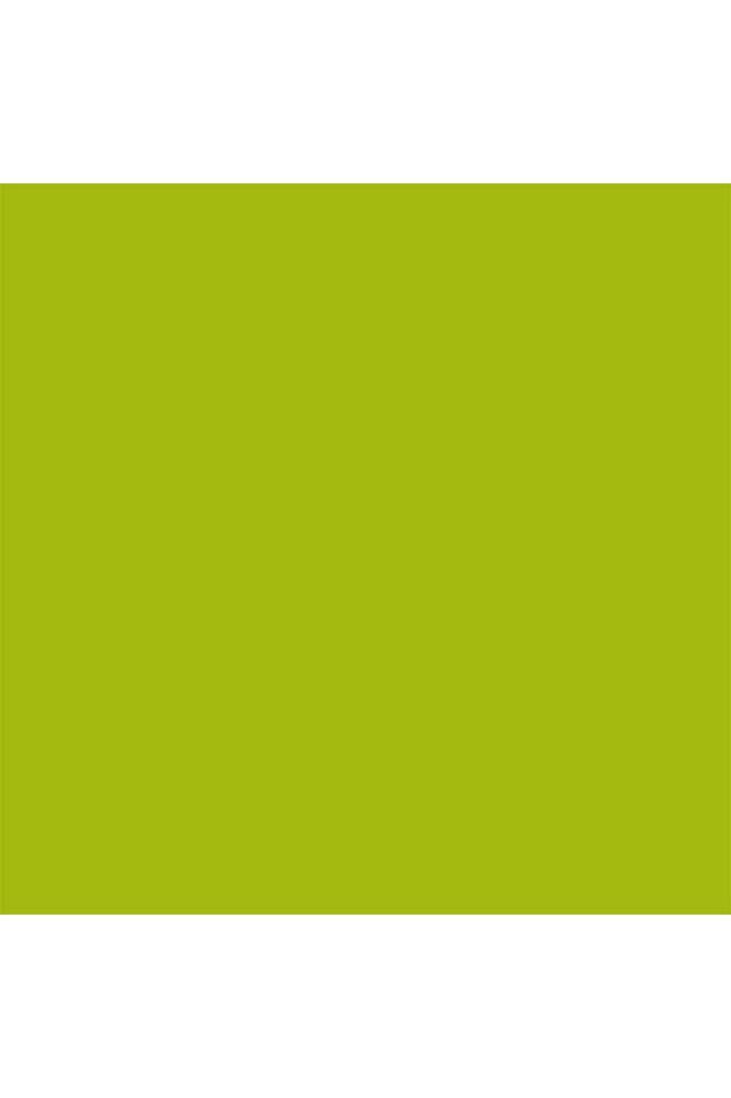 ColorWorks Premium Solid Matcha