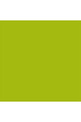 ColorWorks Premium Solid Matcha
